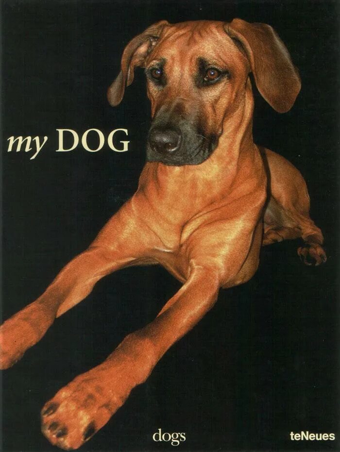 Book my dog. My Dog. My Dog обложка. Фирма вау дог собакам. Книга моя собака купить.