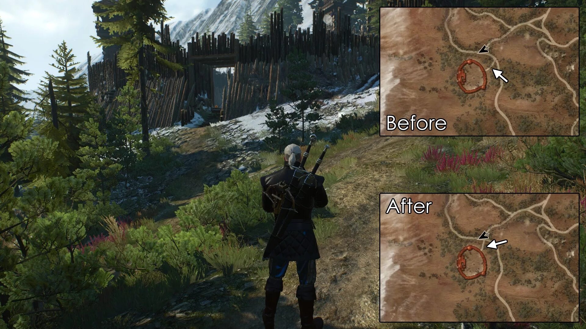 Witcher fix