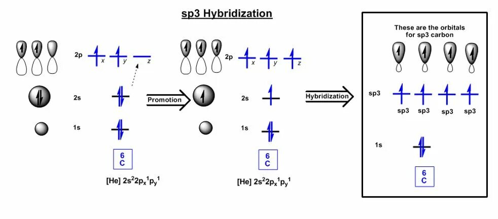 Ацетон sp2 гибридизация. Sp3 hybridization. sp hybridization. sp3 гибридизация. sp гибридизация.