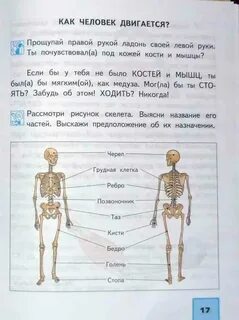 Авито окружающий мир 4 класс