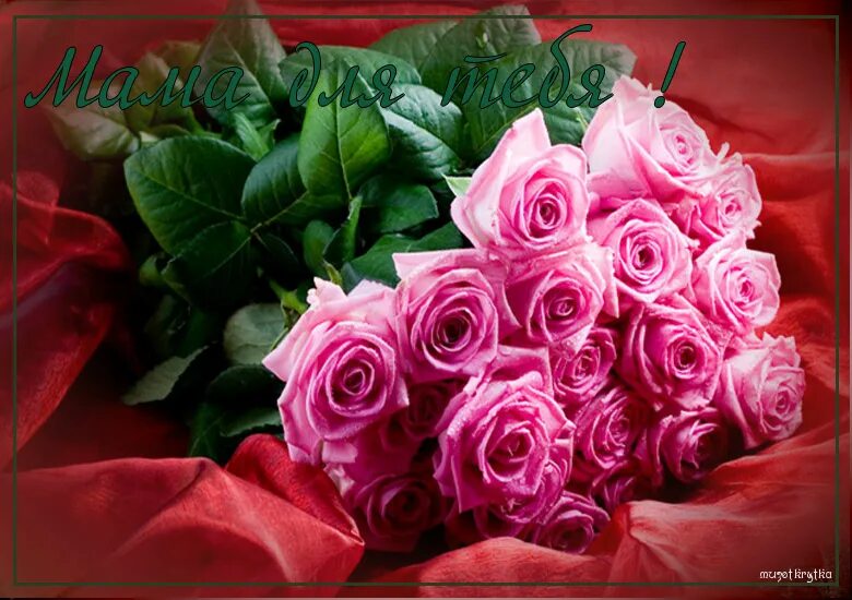 с женским днем сестра. поздравление с 8 мартом сестре. с женским днем сестра. с женским днем сестра. международный женский день вектор.