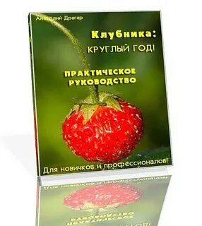 Клубника книги
