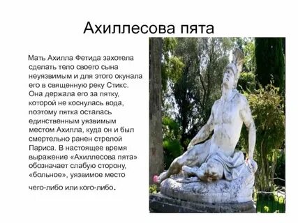 Кузен ахилла 4 букв