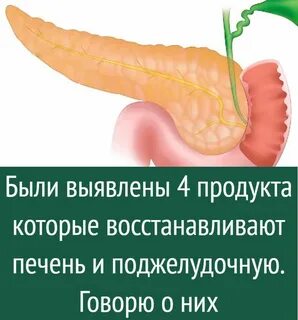 Поджелудочная железа виноград можно есть
