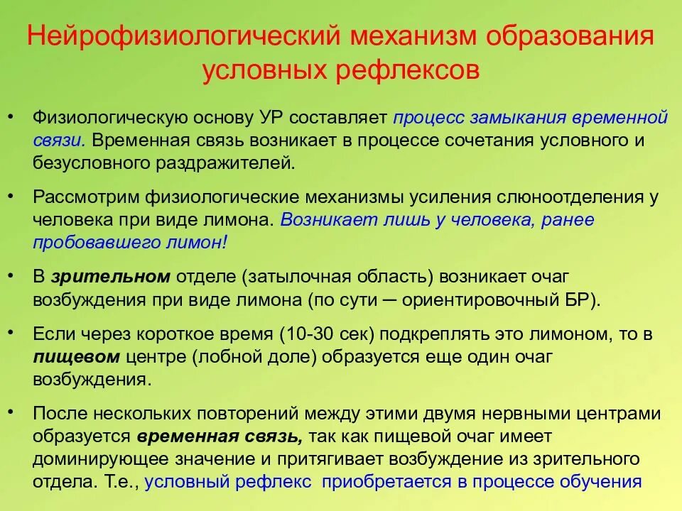 Механизм образования условных рефлексов. Механизм формирования временной связи условных рефлексов. Нейрофизиологические механизмы условного рефлекса. Нейрофизиологические механизмы безусловных рефлексов. Образование временной связи