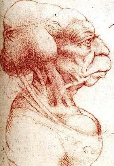 Леонардо да винчи графика рисунки Fine Art Reproduction. Study of the Head of Saint Anne, C.1510. Drawing by Leona