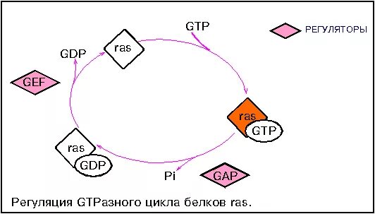 1с ras. 1с ras. Service desk 1c itil.