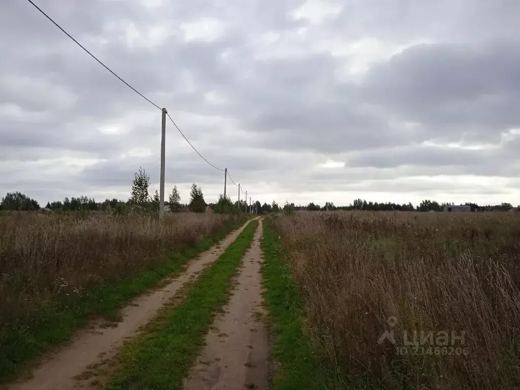 Деревня песчаное новгородский. Песчаная деревня. Песчаное новгородская область. Деревня песчаное великий новгород. Ильмень пляж великий новгород.