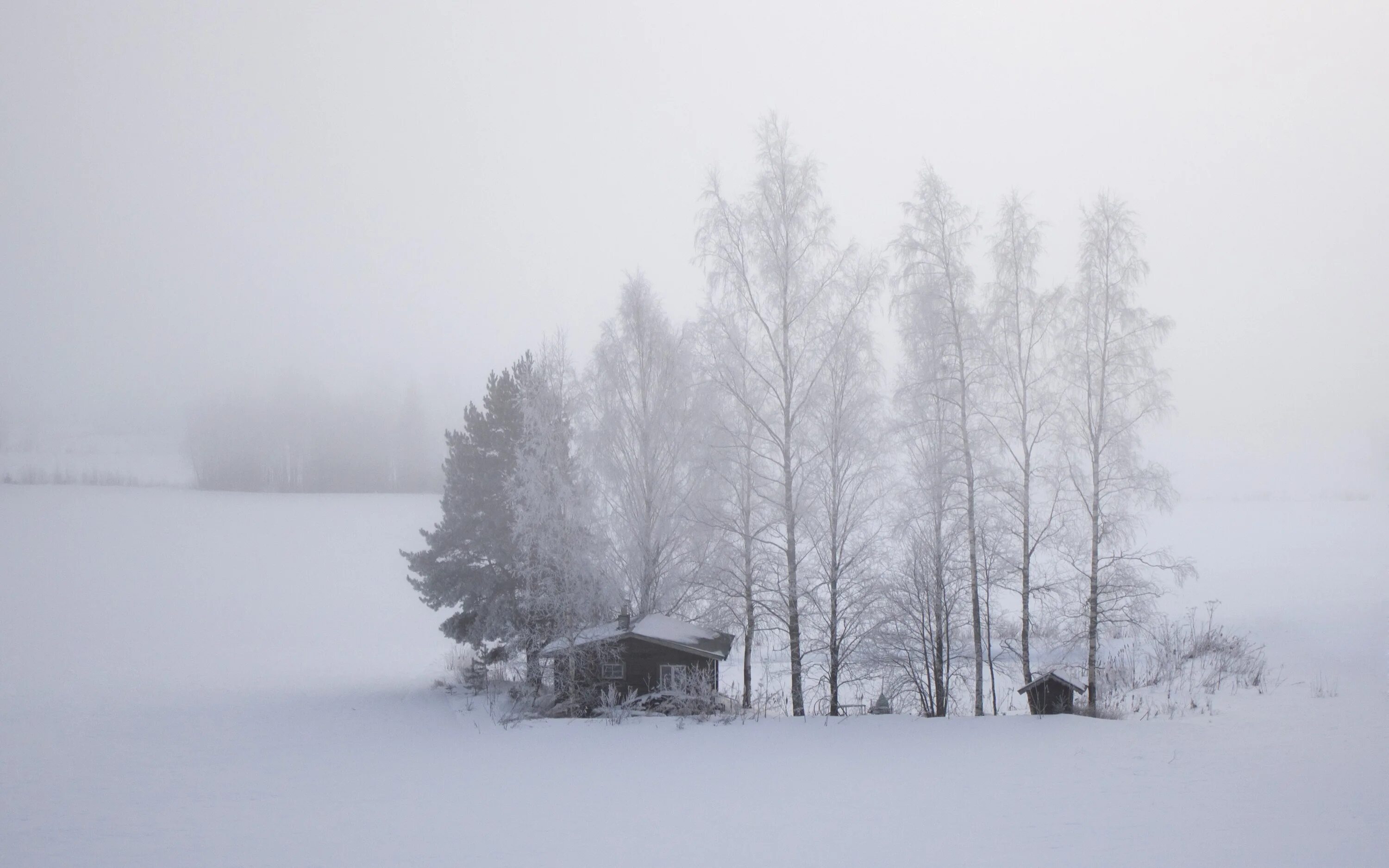 Снежная пелена. Зимний туман в деревне. Зимнее поле в деревне. Зимняя Пурга в деревне. Пелена снега.