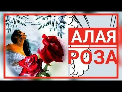 Алые розы стихи