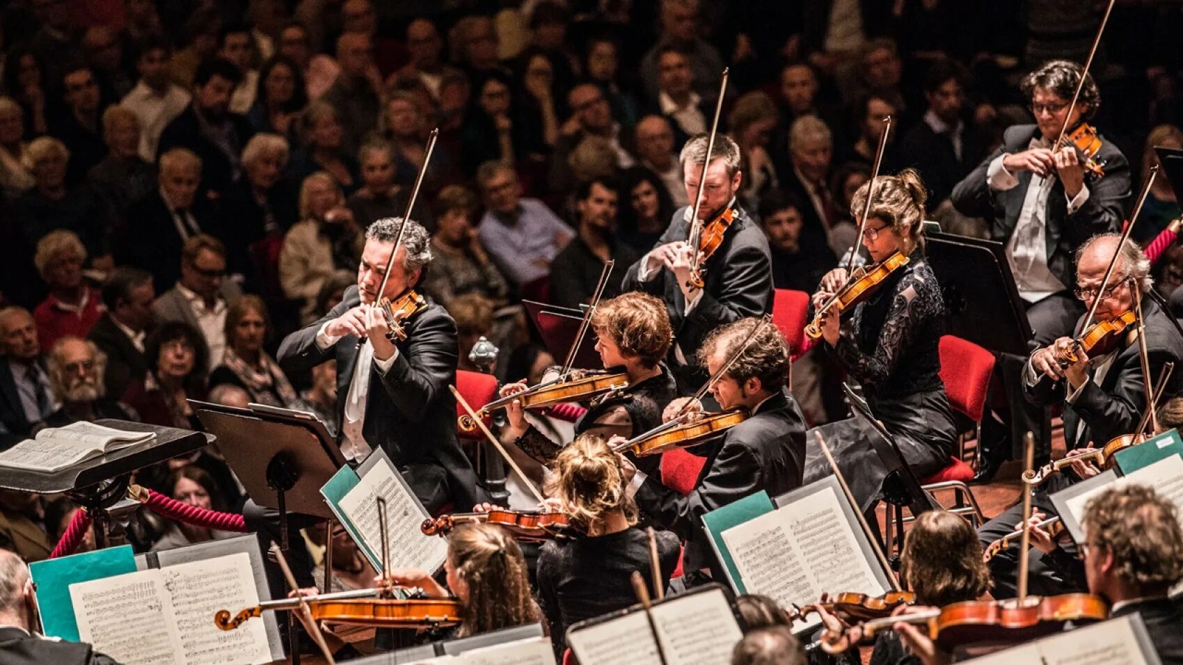 Звучит оркестр музыканты играют вальс. Netherlands Philharmonic Orchestra. Симфонический оркестр Омск. Дирижер симфонического оркестра. Музыканты симфонического оркестра.