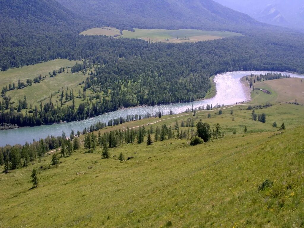 Малина красавица Катунь /сем.Алтая/ 1 туба.