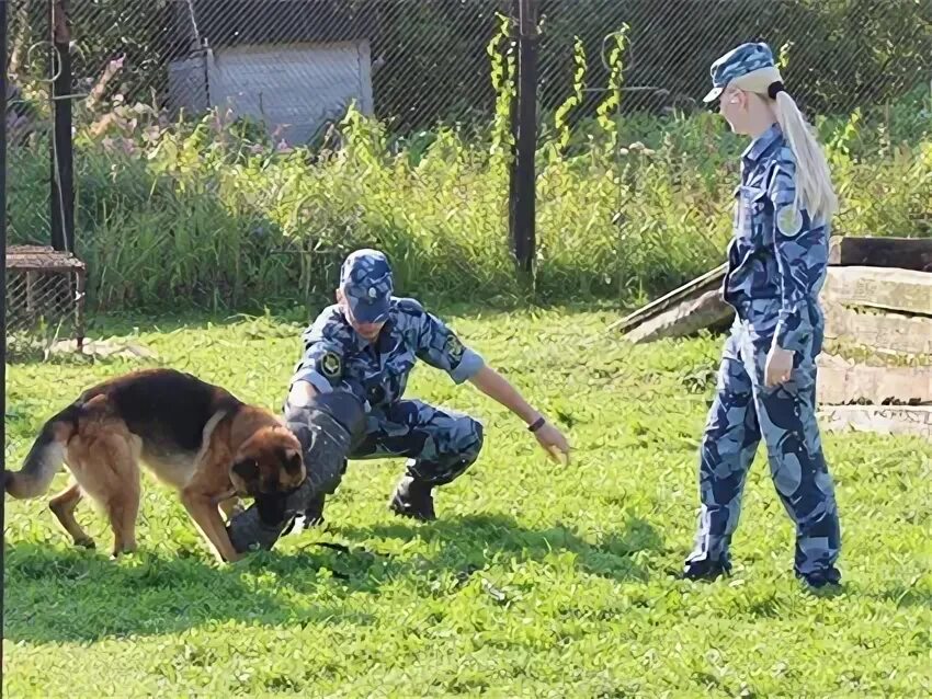 Выбрать кинолога. Выбрать кинолога