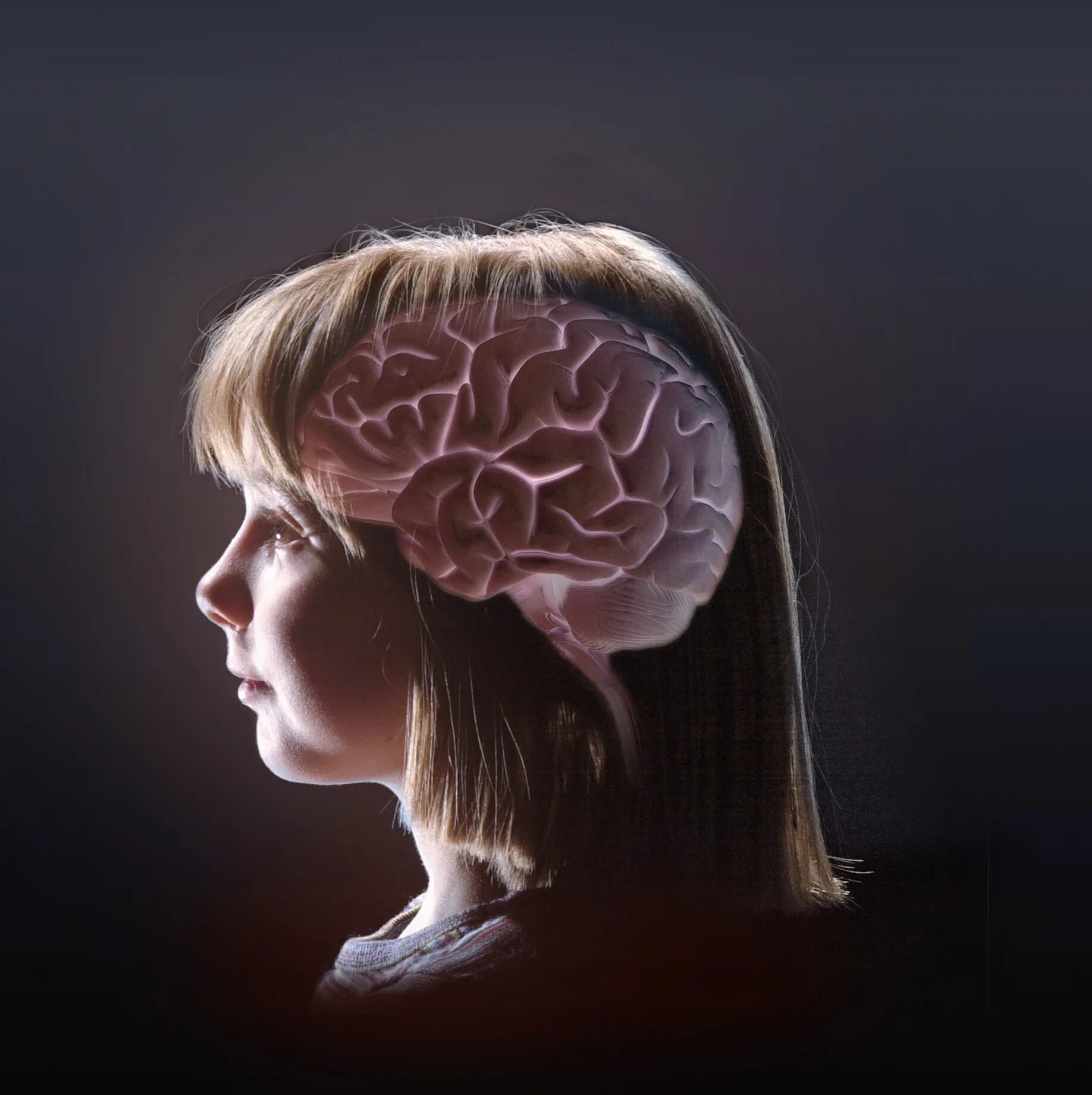 Мозг женщины. Женский мозг фото. У красивых женщин мозгов. Красивая женщина без мозгов. Little brain