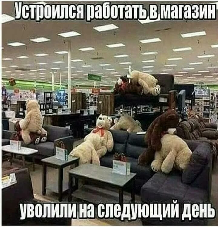 Куда пойти работать если не хочешь работать