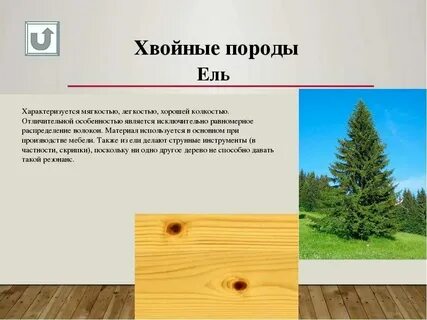 Хвойные материал лиственные
