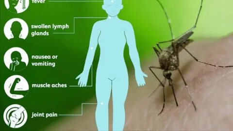 Nile virus
