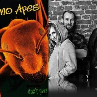 Guano apes open your