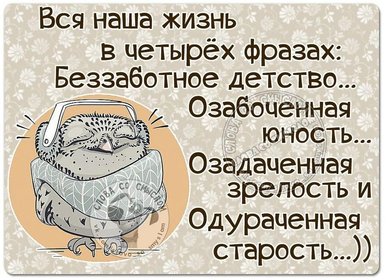 Прикольные высказывания в картинках. Прикольные фразы и выражения. Прикольные мысли и высказывания. Смешные цитаты. Юморные цитаты