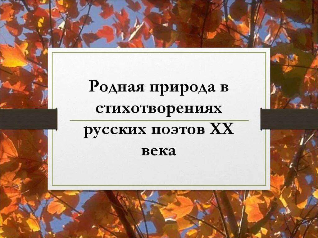 Стихотворение о родной природе. Стихотворения о родной природе поэтов XX века. Родная природа в стихотворениях русских. Родная природа в стихотворениях русских поэтов XX века. Поэты 20 века не причини природе зла