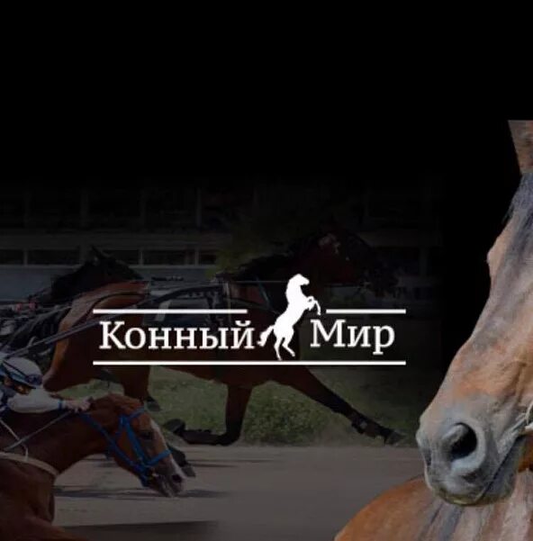 Конный мир челябинск. Конный мир программа. Конный мир программа. Телеканал конный мир. Конный мир логотип.