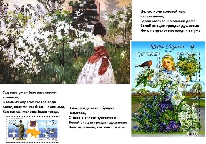 Белой акации гроздья душистые ночь напролет нас сводили с ума. Романс белой акации гроздья душистые. Белой акации гроздья душистые слова. Белой акации гроздья душистые стихи.