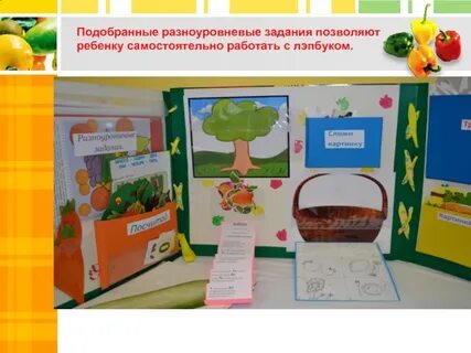 Лэпбук плоды и семена