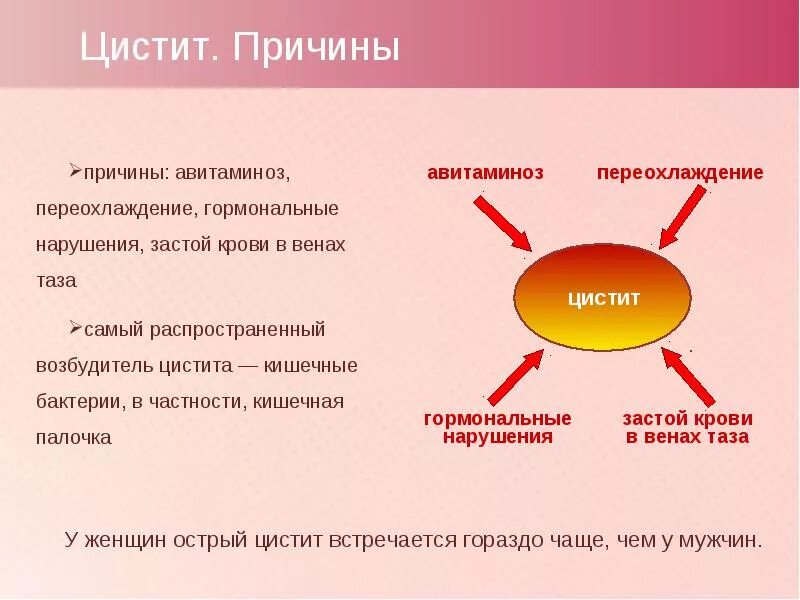 Цистит у ребенка 3 года девочка. Первые проявления цистита. цистит симптоматика. цистит диагностика. острый цистит у детей лекарства.