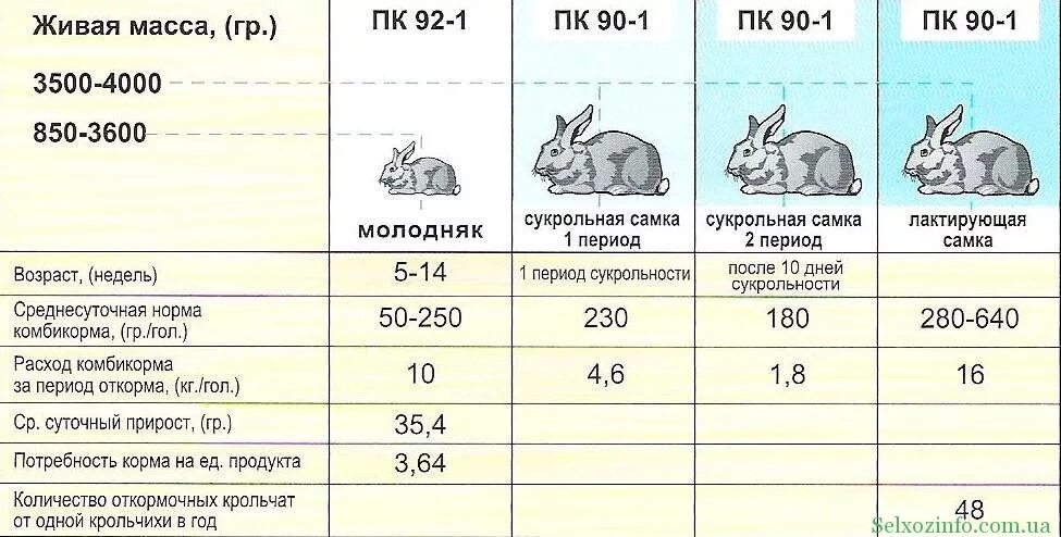 Норма комбикорма для крольчат. Расход комбикорма для кроликов таблица. Нормы кормления кроликов комбикормом. Схема кормления кроликов. Кролику 7 лет