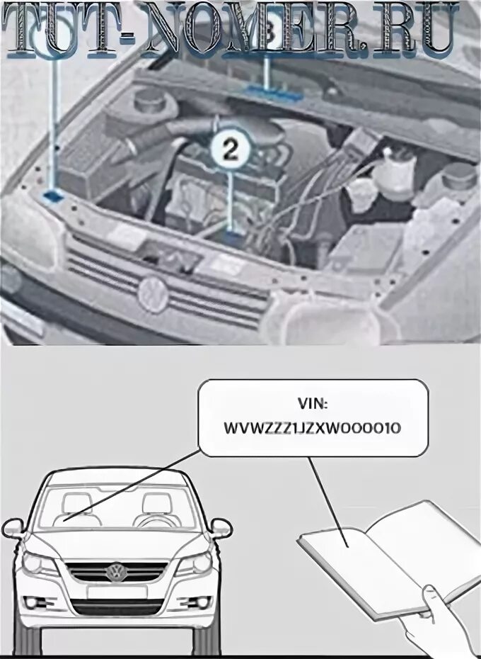 Vin номер volkswagen. Вин на Фольксваген Туран 2005г. Вин номер на Volkswagen Transporter t4. VIN на кузове Volkswagen Touareg 2008. Вин номер VW Golf 1998.