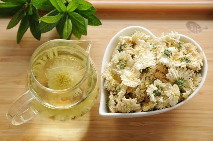 Хризантема, цветы, цзюй хуа. Чай хризантема таиланд. Засахаренные хризантемы китай. Цветочный чай "хризантема". Хризантемовый чай.