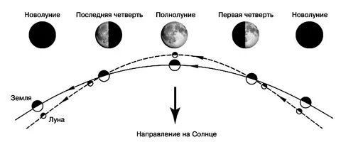 Фазы луны установить