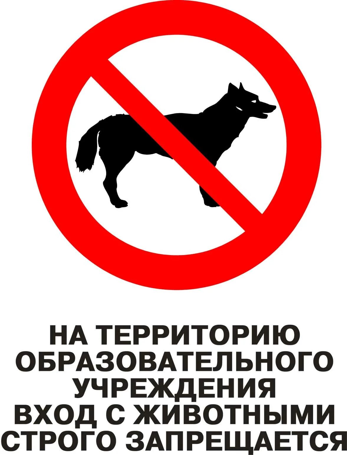 Вход с собаками запрещен. Вход с санками запрещен. Выгул собак запрещен. Вход на территорию школы с собаками запрещен.