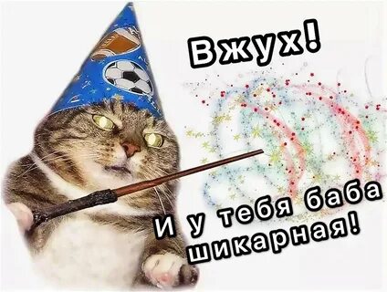 Коте вжух