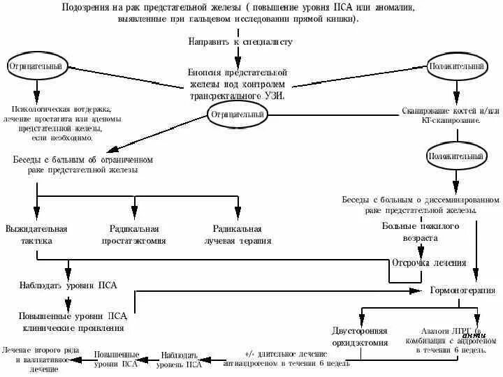 Показатель рака простаты. Клиника предстательной железы. Схема урологии мужчины. Схема алгоритм использования индекса здоровья простаты.