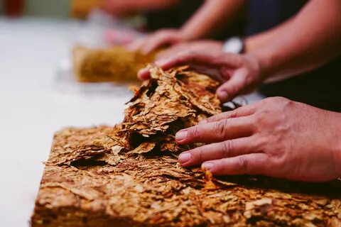 Tobacco use
