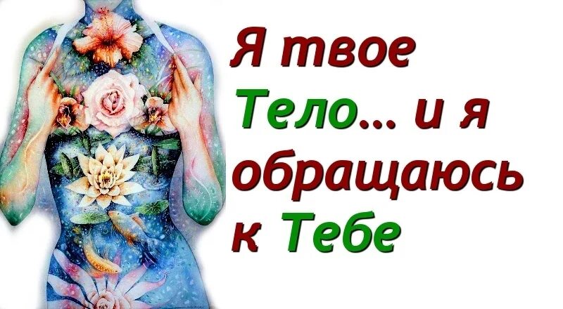 Твое тело твой дом