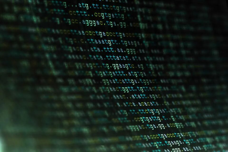 Coding cage