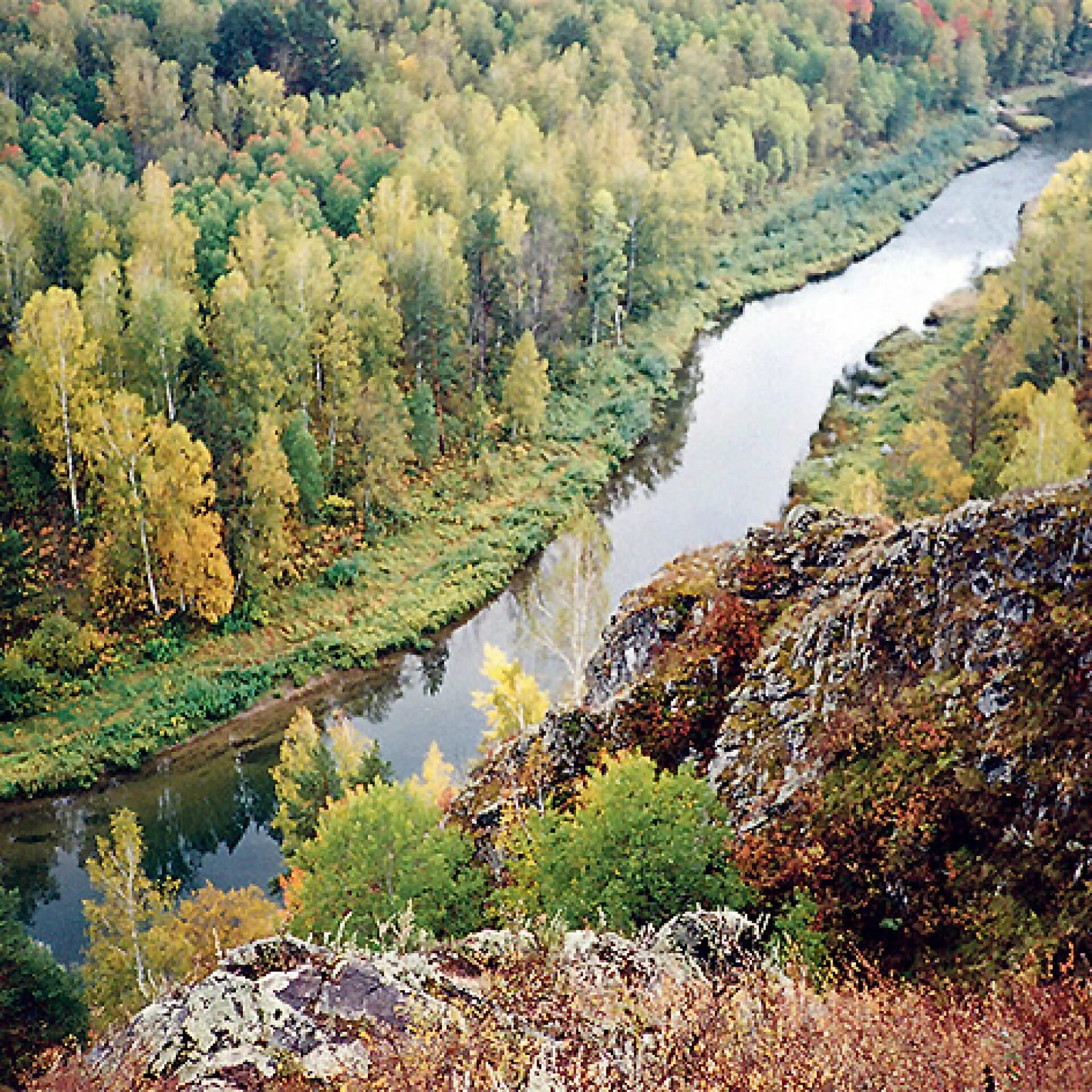 Река искитим. Река Бердь Салаирский Кряж. Бердские скалы Новосибирская область. Бердские скалы (зверобой) Новосибирск. Река Бердь Новосибирской области.