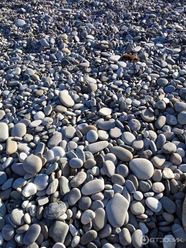Гальков сочи. Каменистый берег в сочи чёрное море. Каменистый берег в сочи чёрное море. Галечно песочный пляж адлер. Галечный пляж лазаревское.