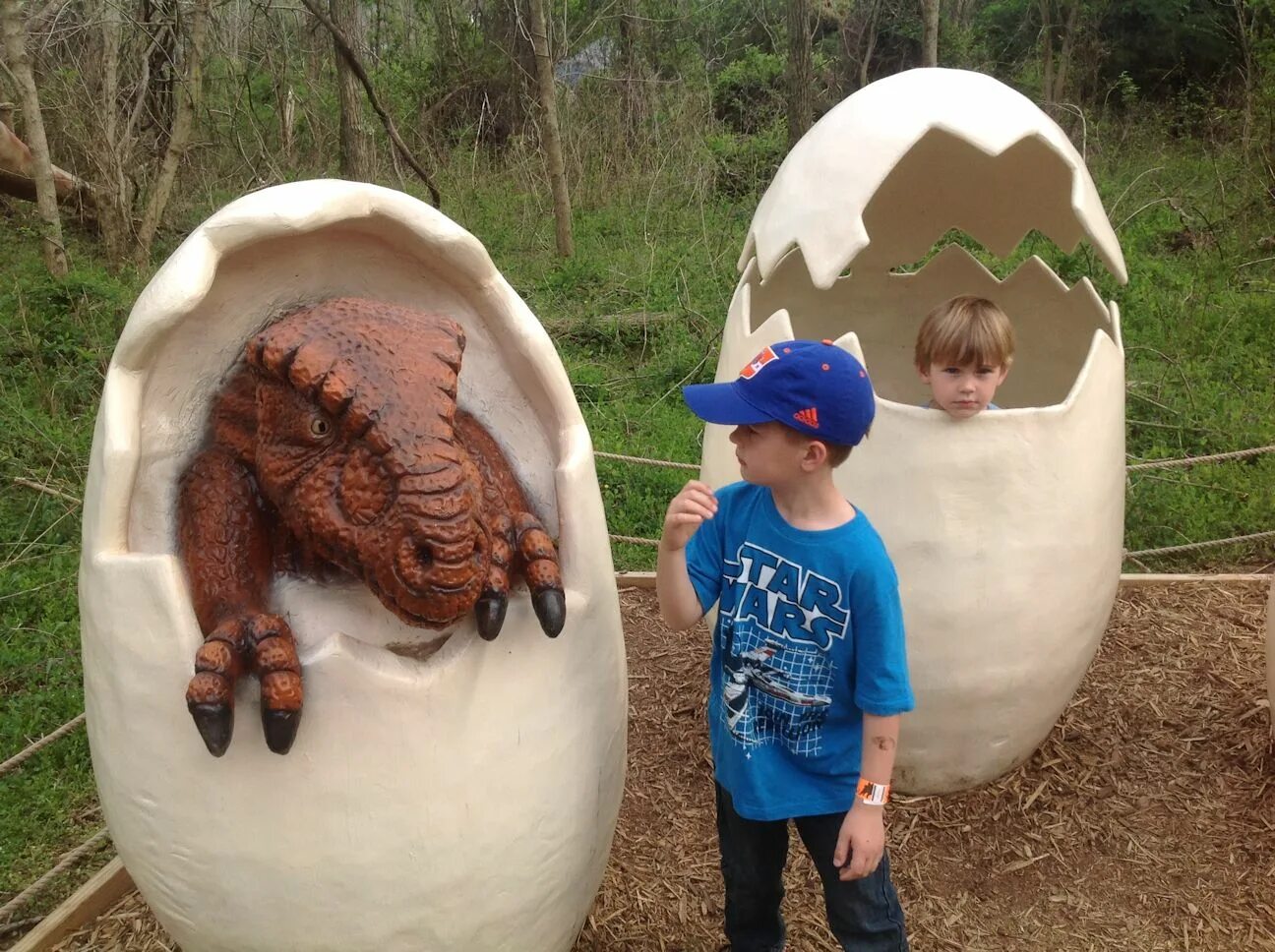 Яйцо динозавра шоу отзывы. Динозавр с яйцом. Огромное яйцо динозавра игрушка. Яйцо динозавра парк Юрского периода. Поделка динозавр в яйце.