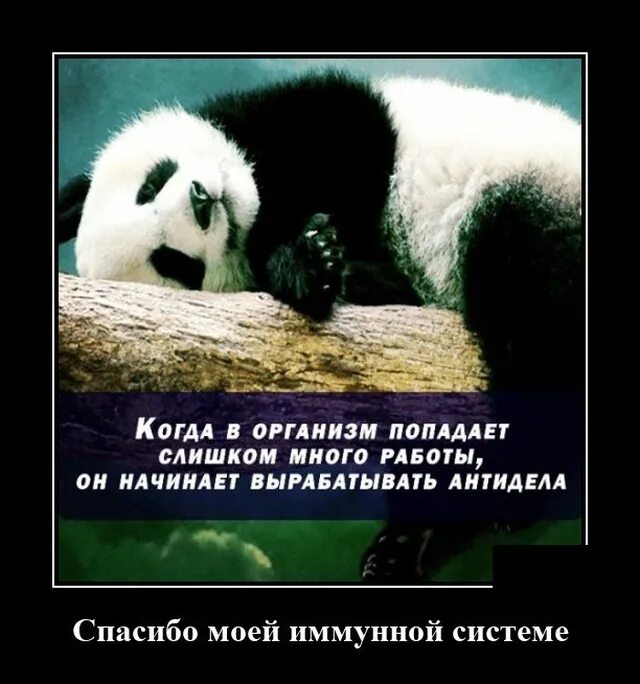 Начинать попадать