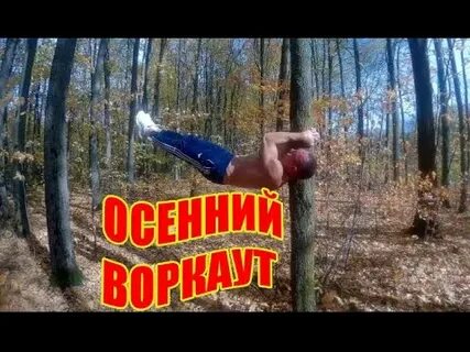 Качаем в лесу