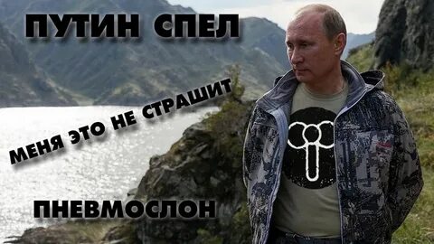Пневмослон серега