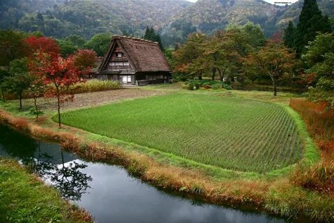 Japan go