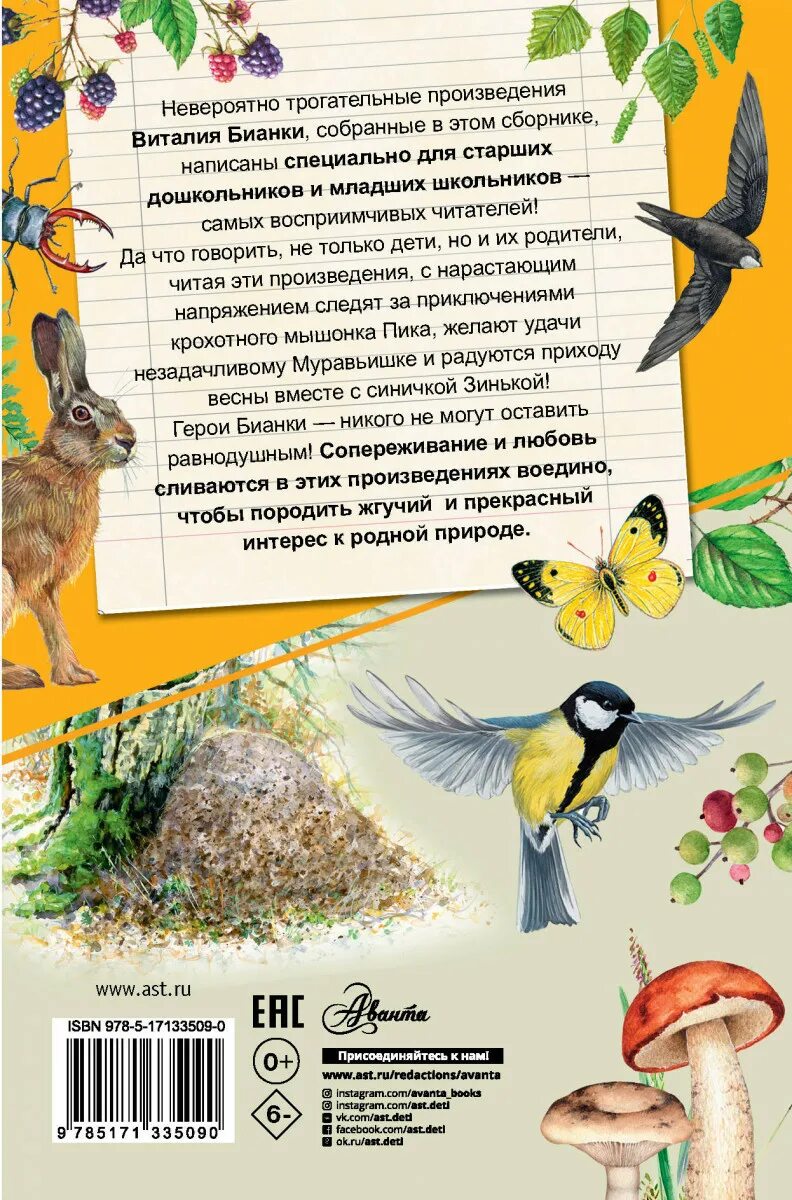 В. В. Лесные домишки оглавление. Лесные домишки бианки читательский дневник иллюстрации. Лесные домишки бианки рисунок.