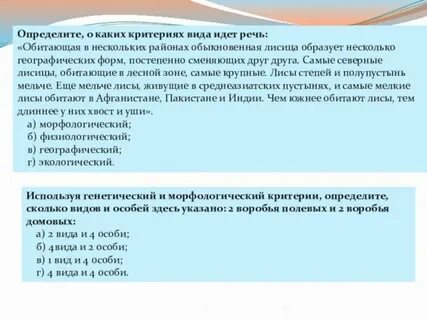 Определите о каких типах общества идет речь