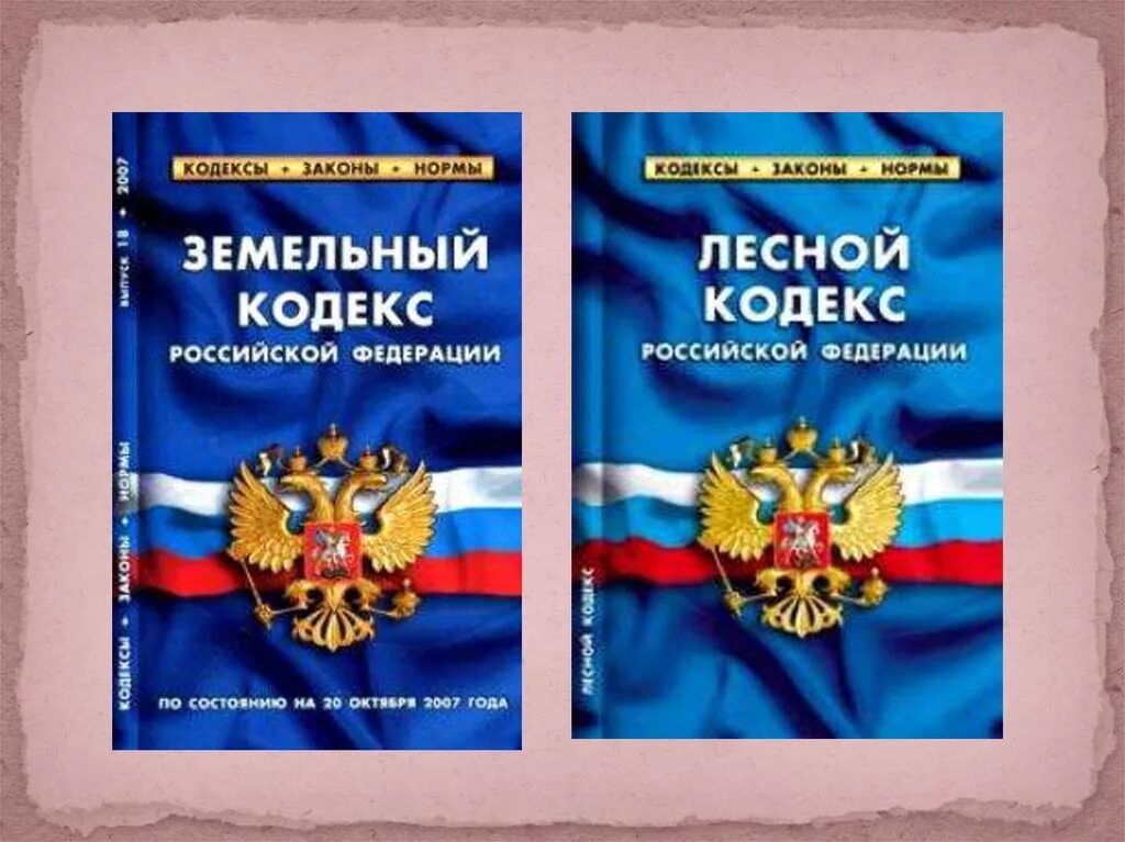 Земельным кодексом рф определено. Лесной кодекс. Земельный Лесной и Водный кодексы. Земельный кодекс и Лесной кодекс. Земельный и Гражданский кодекс.