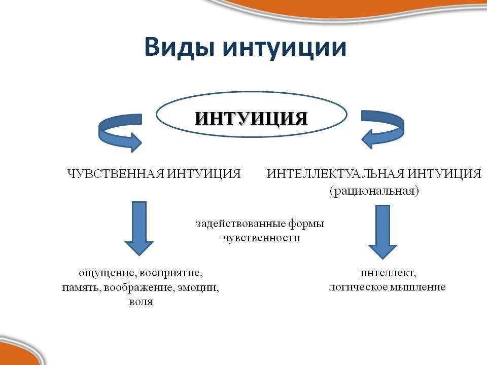 Чувственная интеллектуальная. Виды интуиции. Интуиция презентация. Интуиция это в философии. Интуитивное познание в философии.