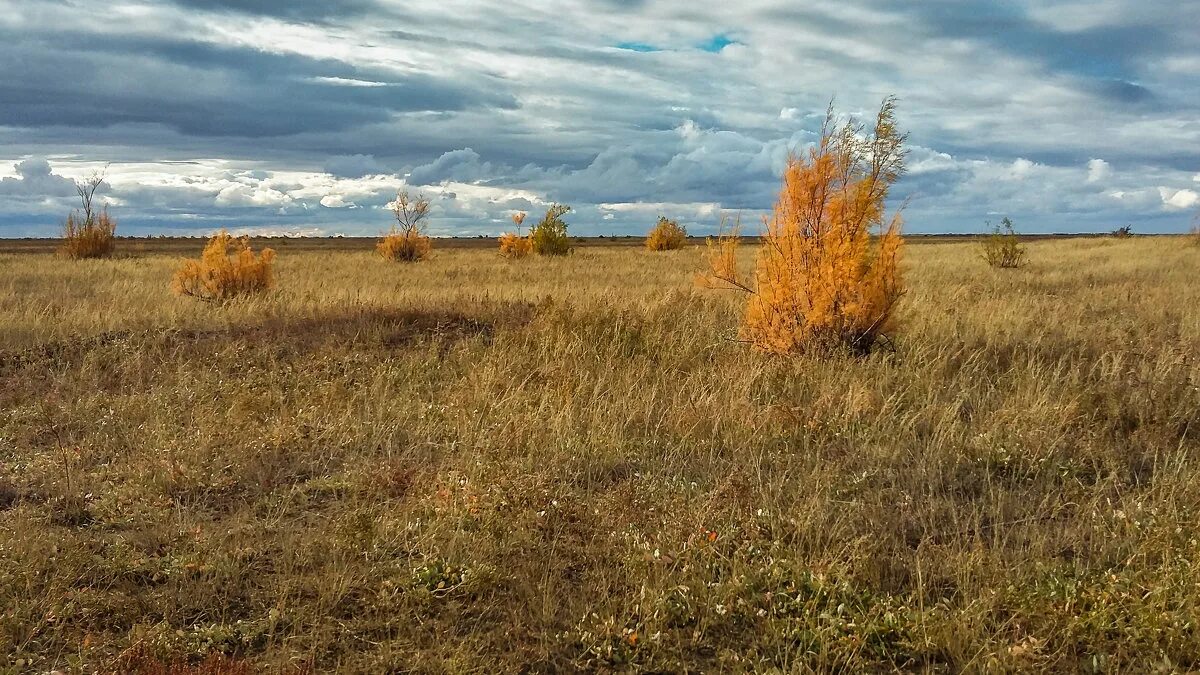 Сентябрь в степи. Сарыарка, золотая степь. Холмы забайкалья. Осенняя степь. Сентябрь в степи.